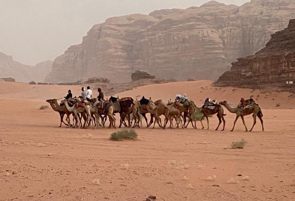 Orbit Camp 2 Hotel Wadi Rum Exterior photo